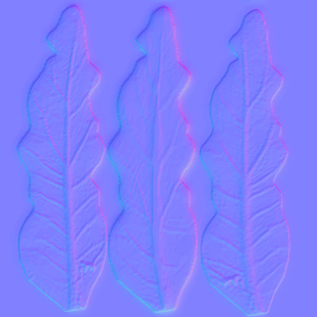 蔬菜