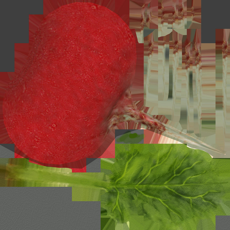 蔬菜