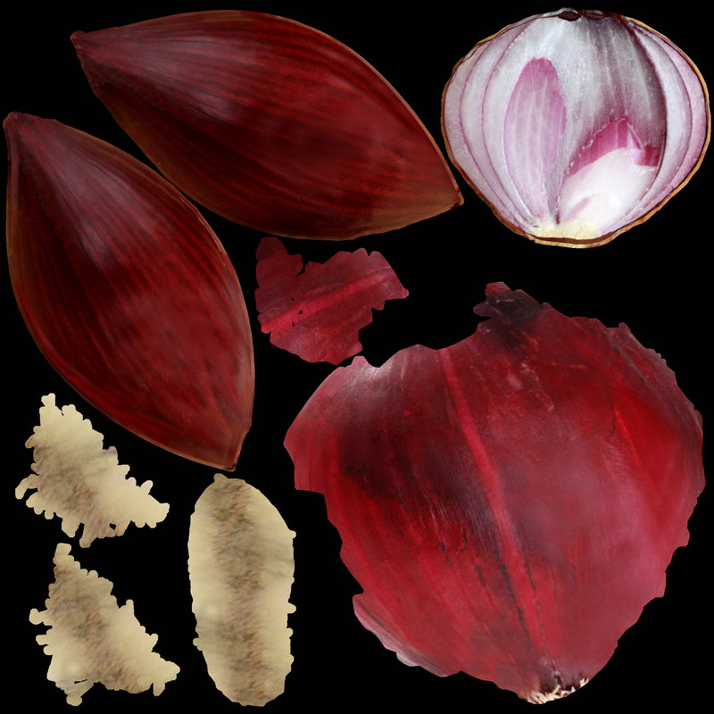 蔬菜