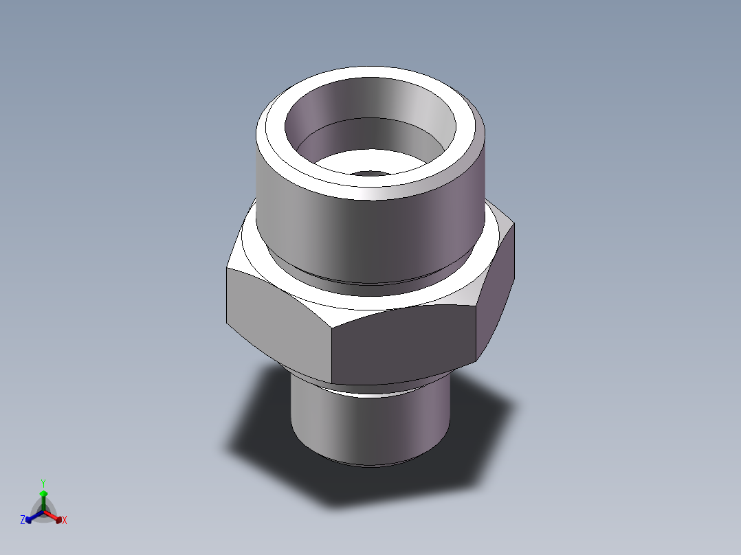英制管螺纹ED密封、1DB-24-06WD正等轴测图