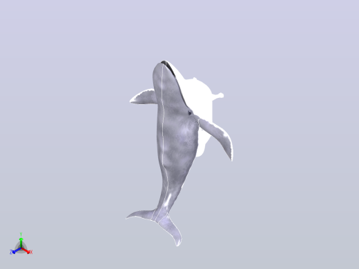浴盆里的鲸鱼