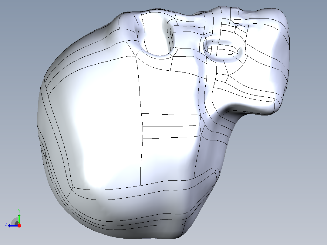 骷髅头右视图