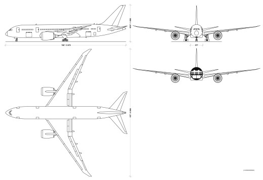 787波音飞行缩略图