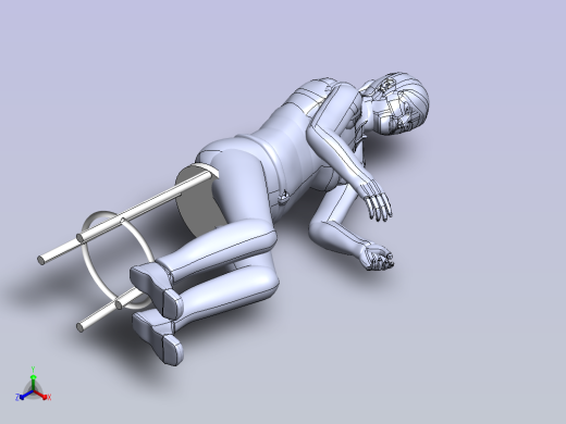 人体（12种）正等轴测缩略图