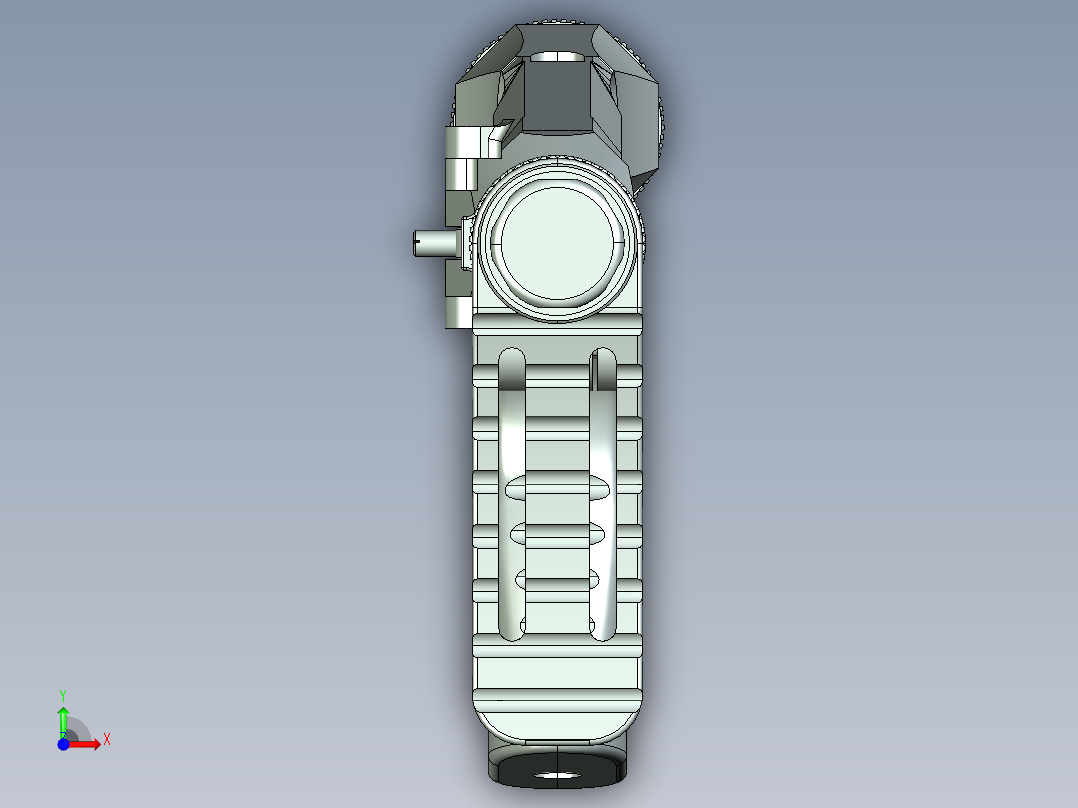 PCP-莱什利前视图