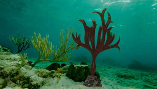 管状海藻缩略图