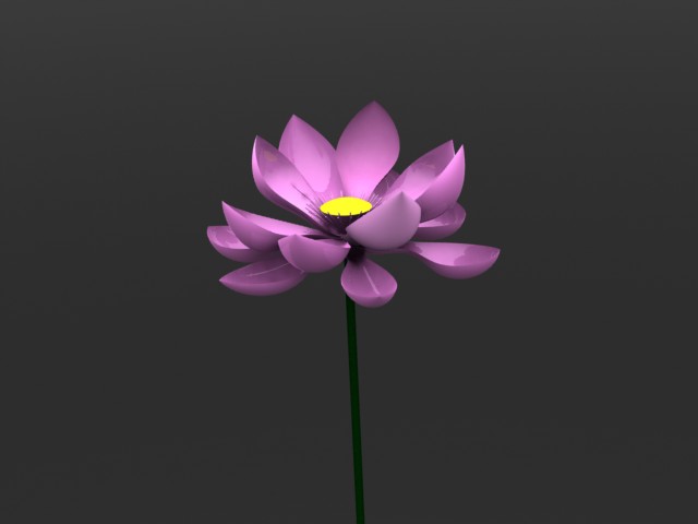莲花