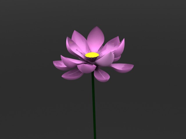莲花