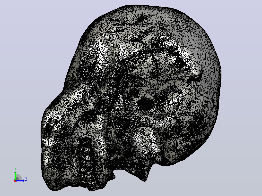 Zbrush骷髅左视图