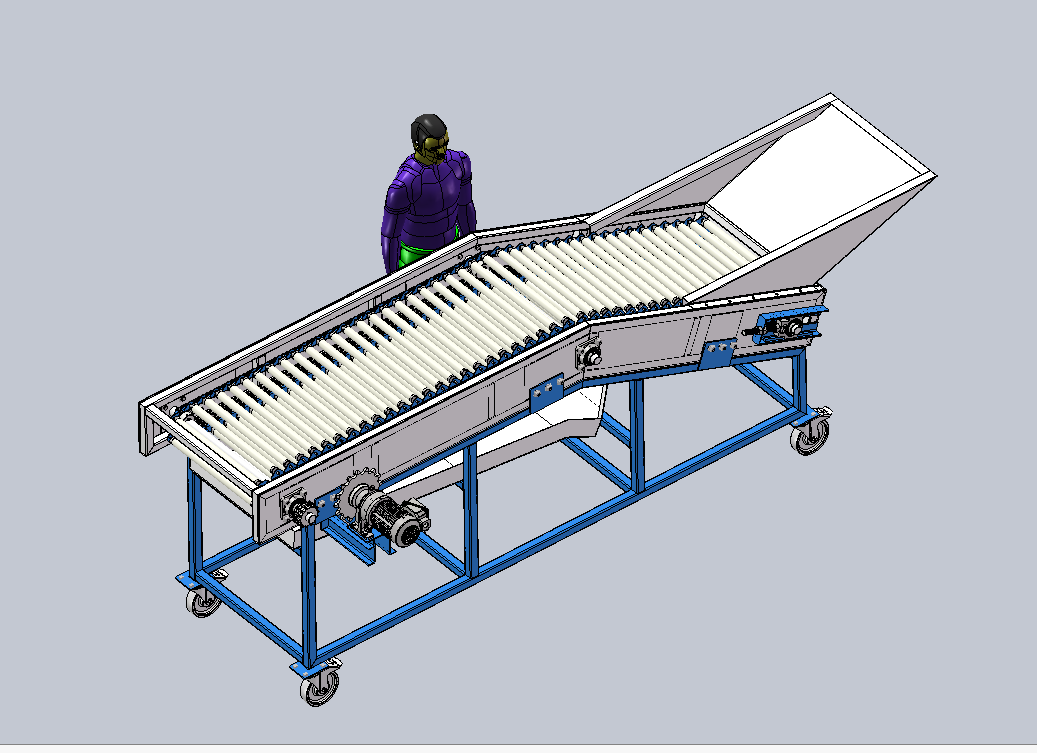 砂糖橘分拣流水线sw18