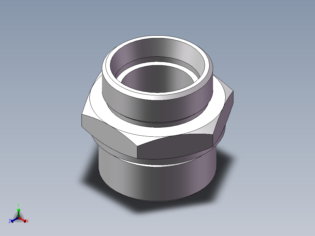 英制管螺纹ED密封、1CB-45-24WD非标正等轴测图