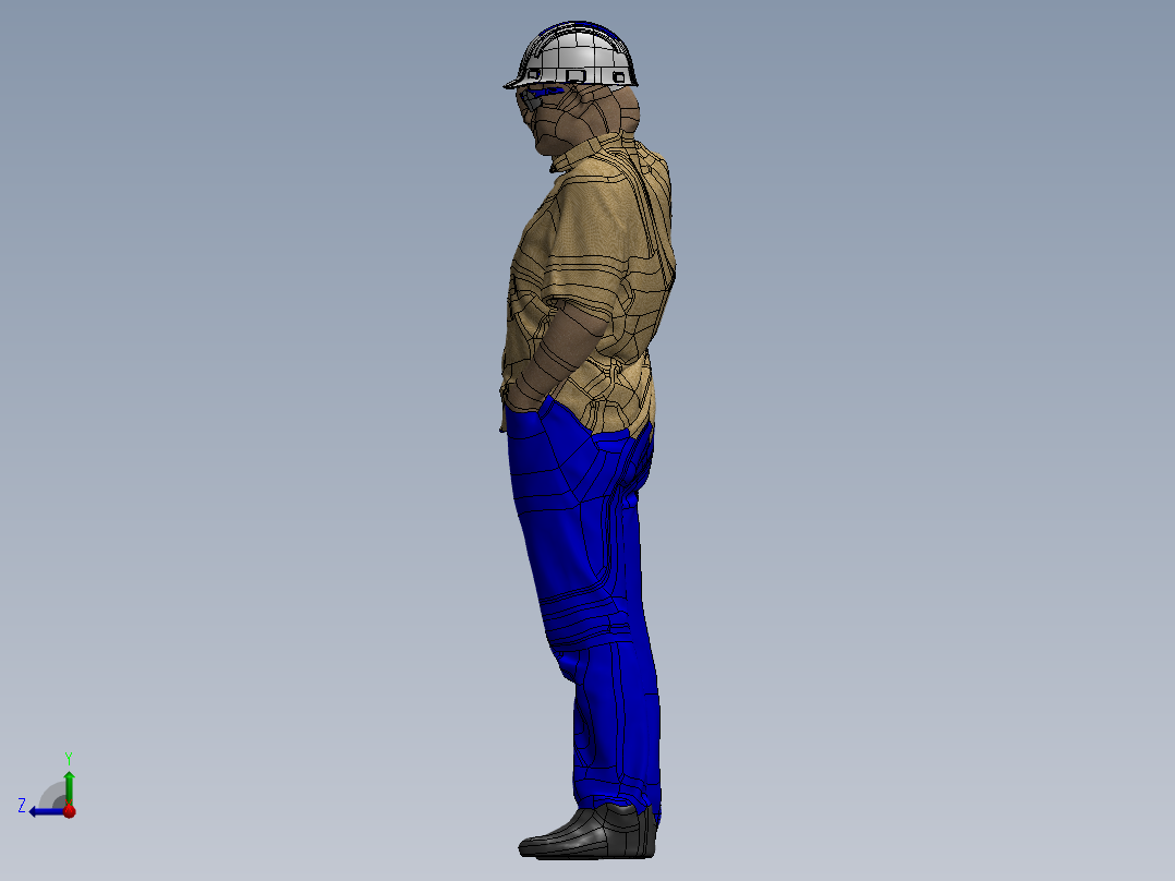 人体模型(39)右视图