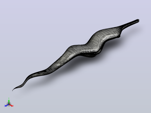 海洋生物鱼类Neil the Eel