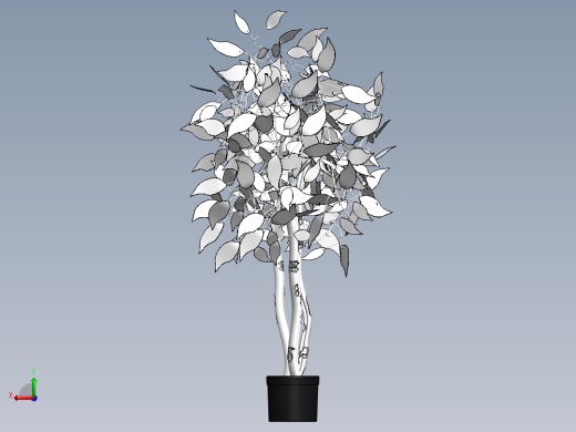 植物(48)后视缩略图