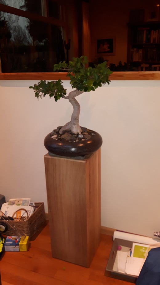 橡木盆景柱缩略图