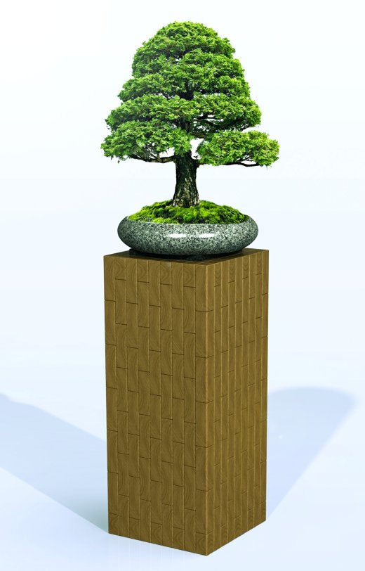 橡木盆景柱缩略图
