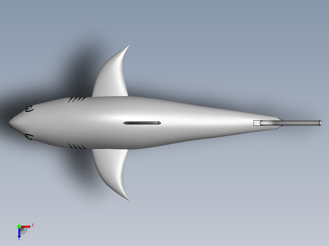 鲨鱼2俯视图