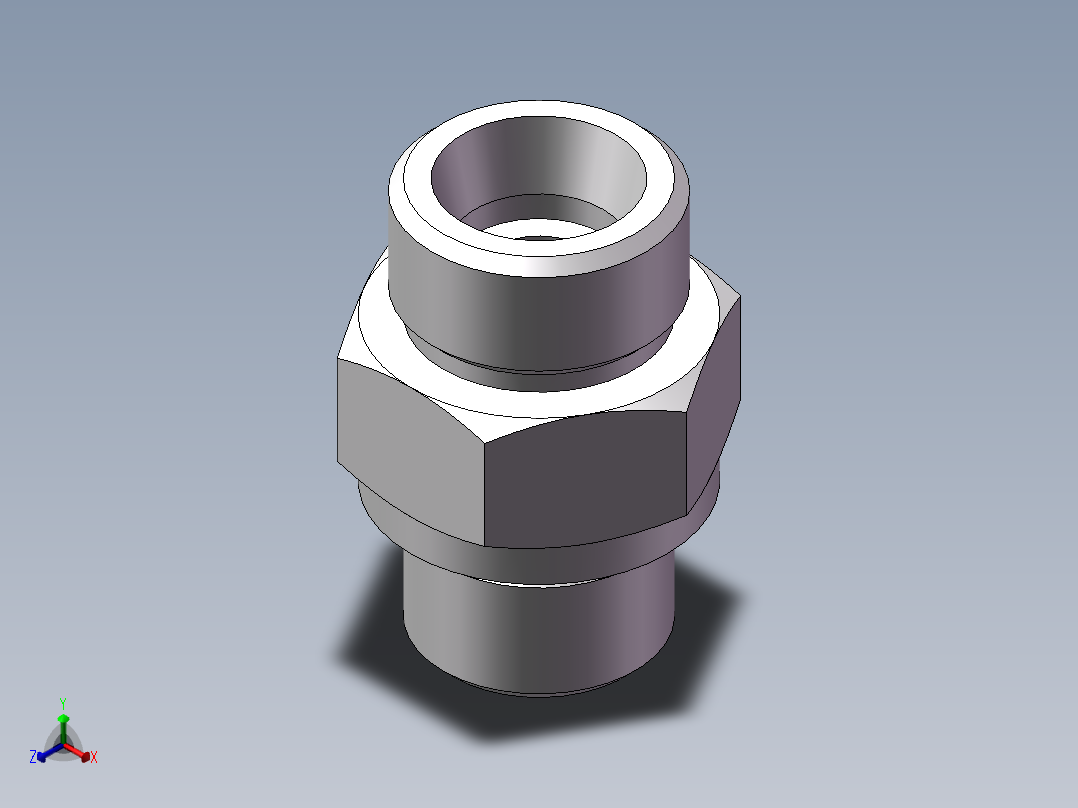 公制螺纹ED密封、1DM-20-18WD正等轴测图