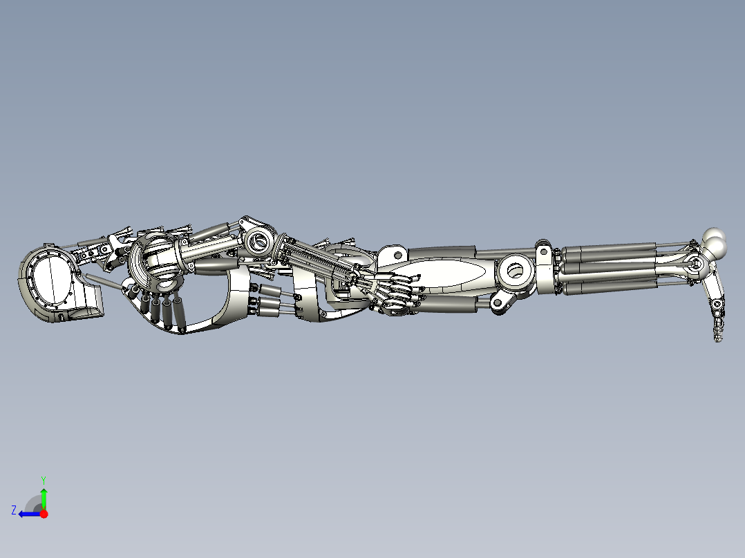 仿骨架机器人设计右视图