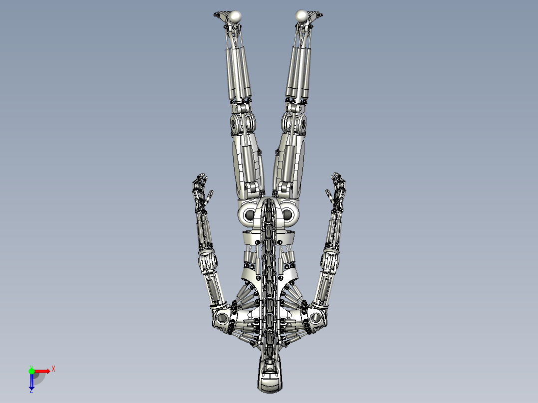 仿骨架机器人设计俯视图