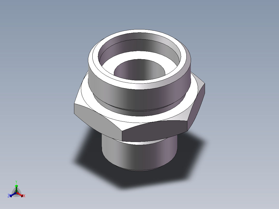 英制管螺纹ED密封、1CB-36-12WD非标正等轴测图