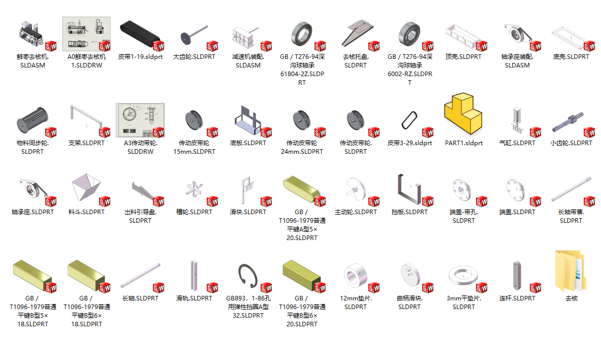 大枣红枣冬枣鲜枣去核机设计 含CAD图纸+SW三维模型+说明书
