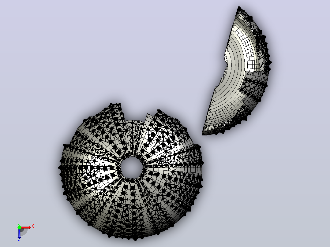 海洋生物鱼类urchin shell- broken俯视图