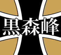 LG电吹风（完整模型+设计说明书）