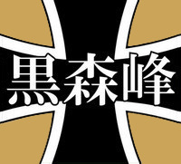 LG电吹风（完整模型+设计说明书）缩略图