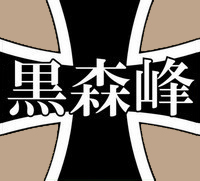 LG电吹风（完整模型+设计说明书）