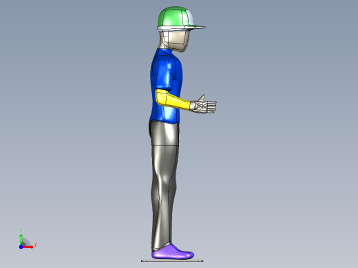 人体模型-站立式前视缩略图