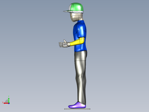 人体模型-站立式后视缩略图