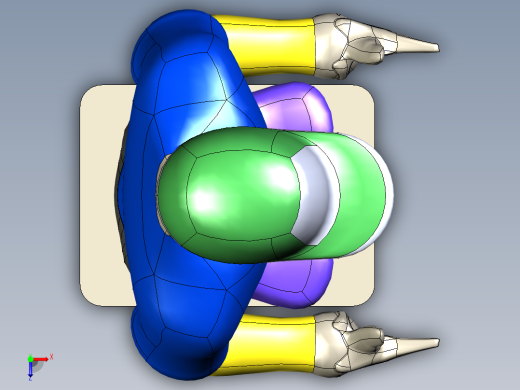 人体模型-站立式俯视缩略图