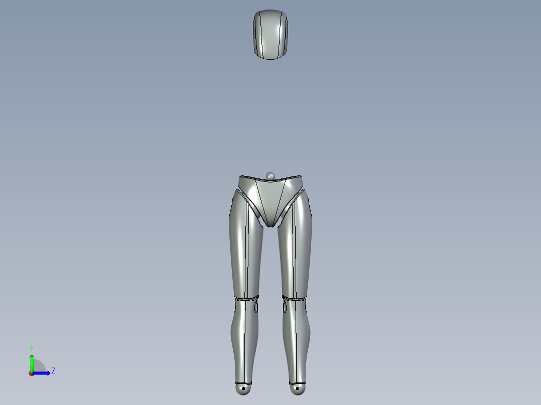 人体模型左视图