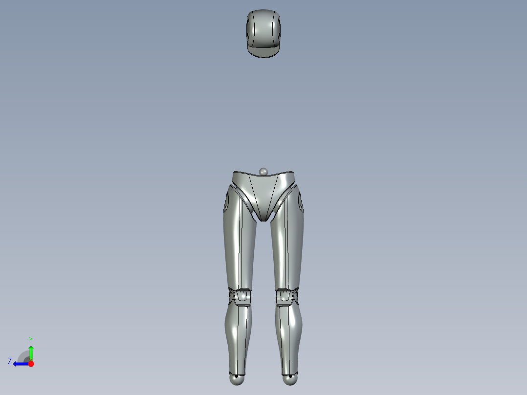 人体模型右视图