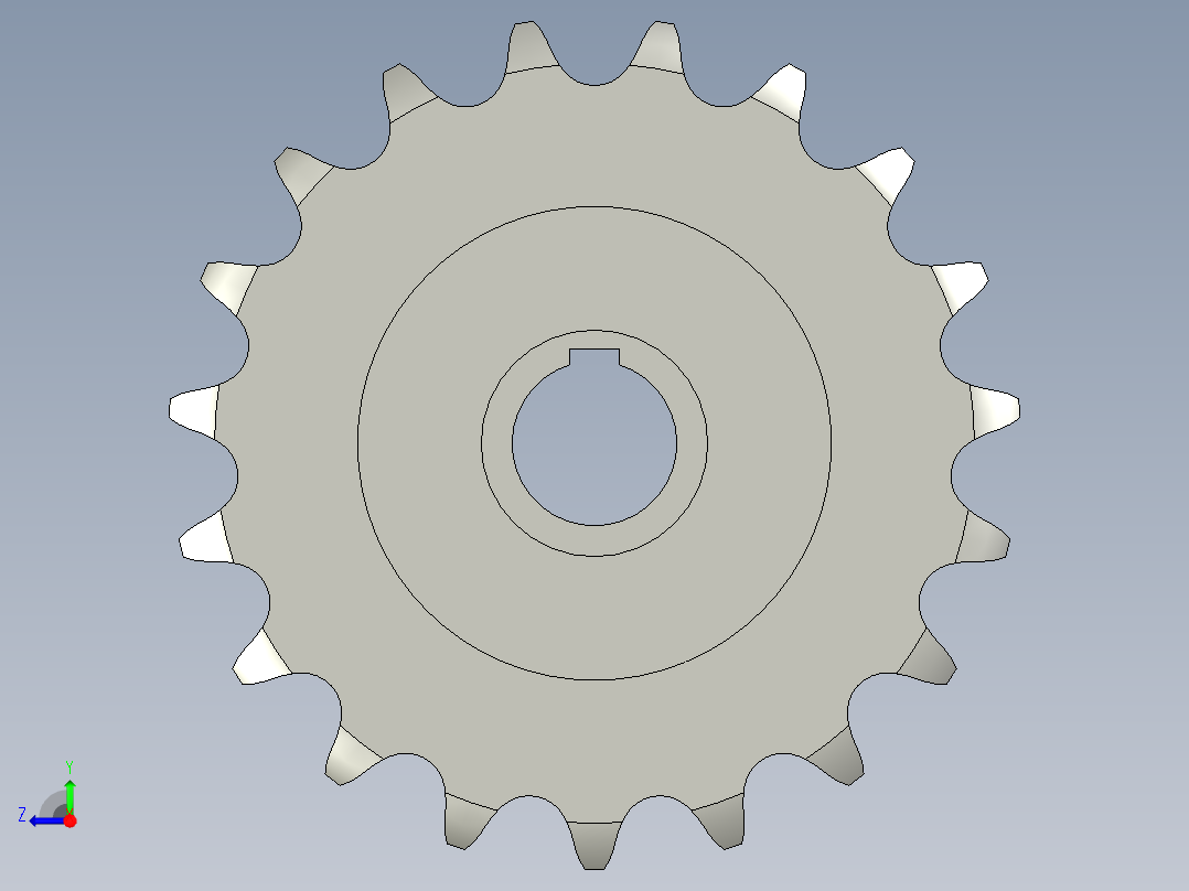 19齿内孔40带键槽20A双排从动链轮右视图