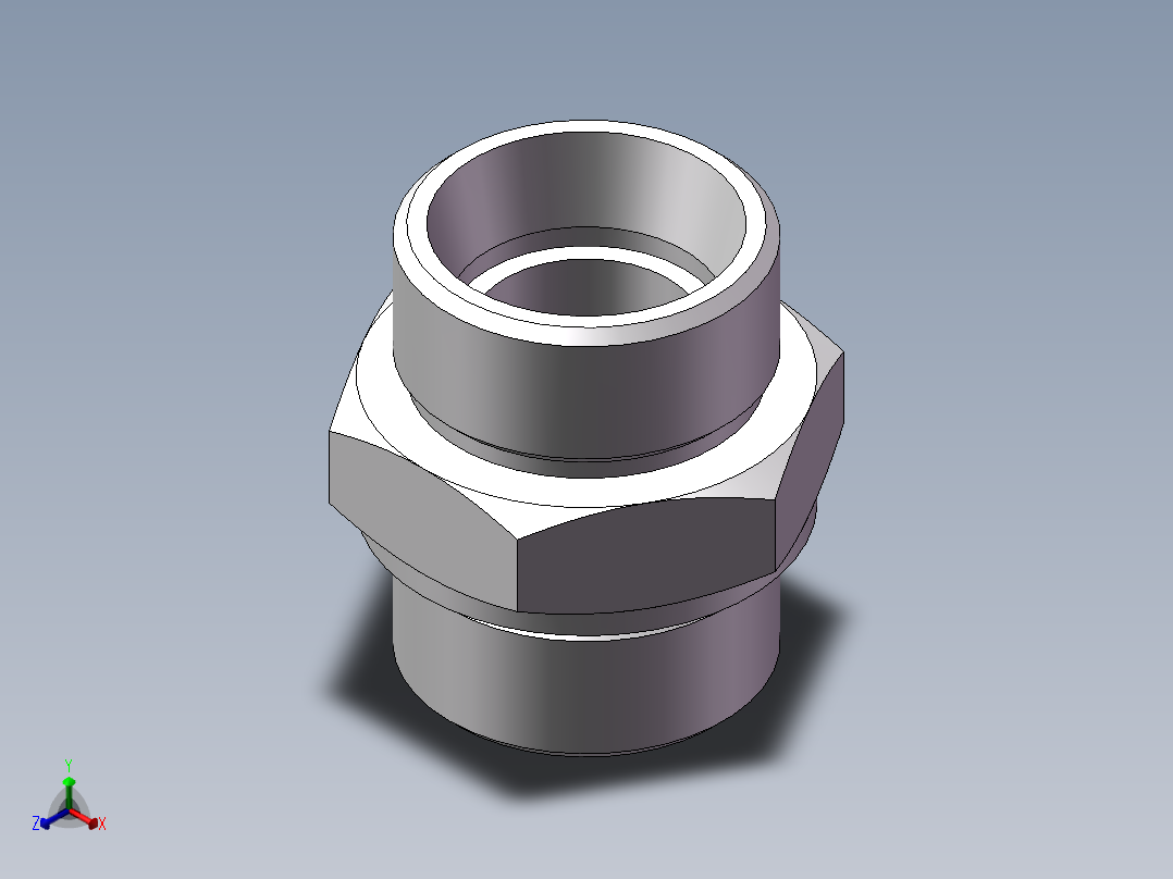 公制螺纹ED密封、1DM-42WD正等轴测图