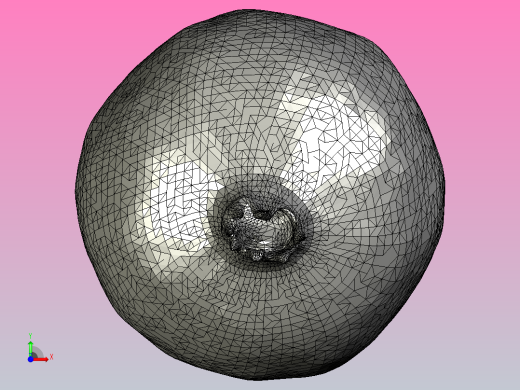 1_045Pomegranade_01_4K水果蔬菜面包坚果前视缩略图