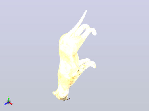 狮子