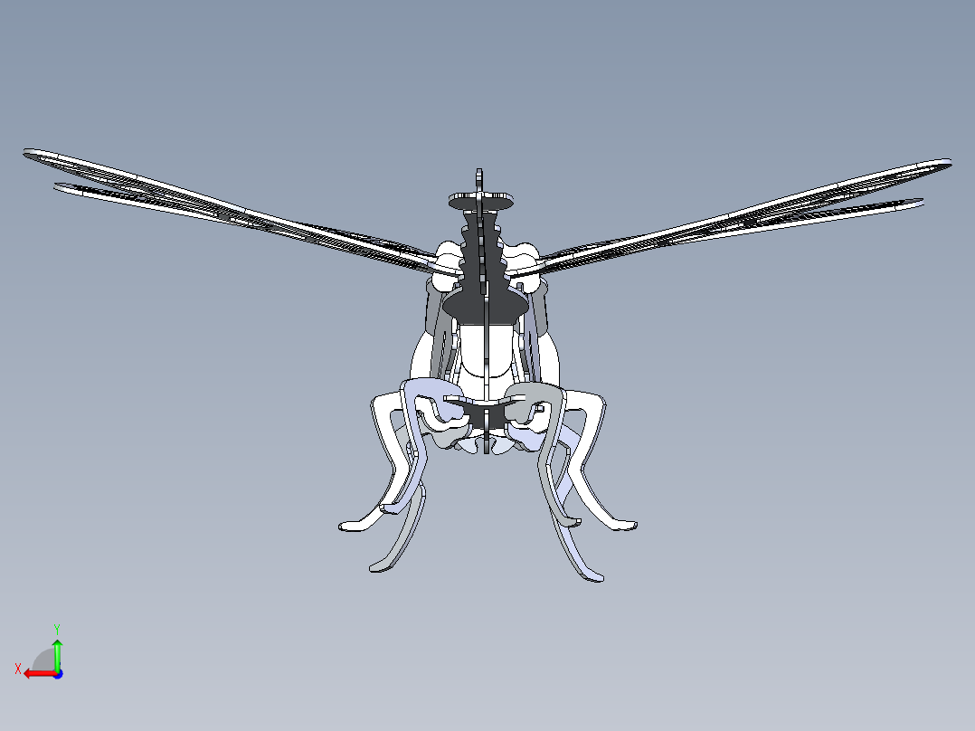 B2004485-蜻蜓后视图