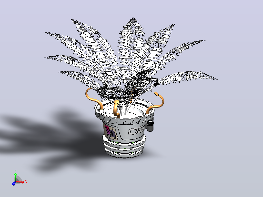 蕨类植物盆栽主视图