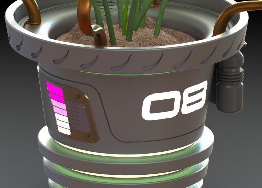 蕨类植物盆栽缩略图
