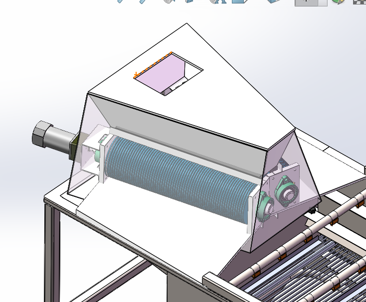 贝类清洗清刷流水线