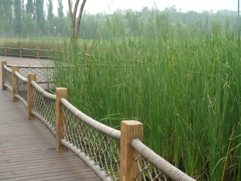 中药材现代农业休闲观光园景观绿化方案图