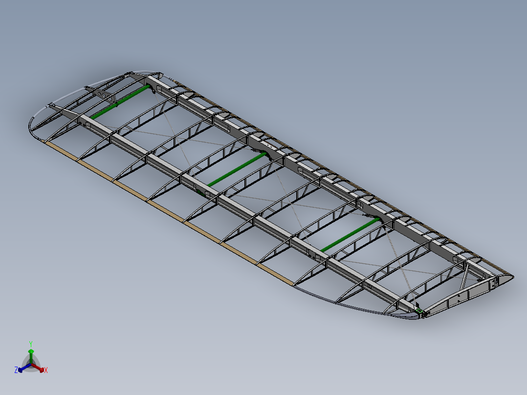 虎蛾上左舷翼正等轴测图