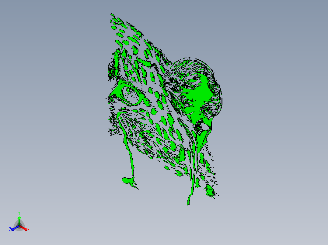 猎豹图案主视图