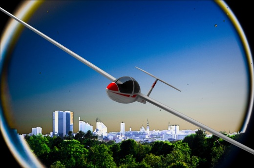 DG-1000滑翔机缩略图