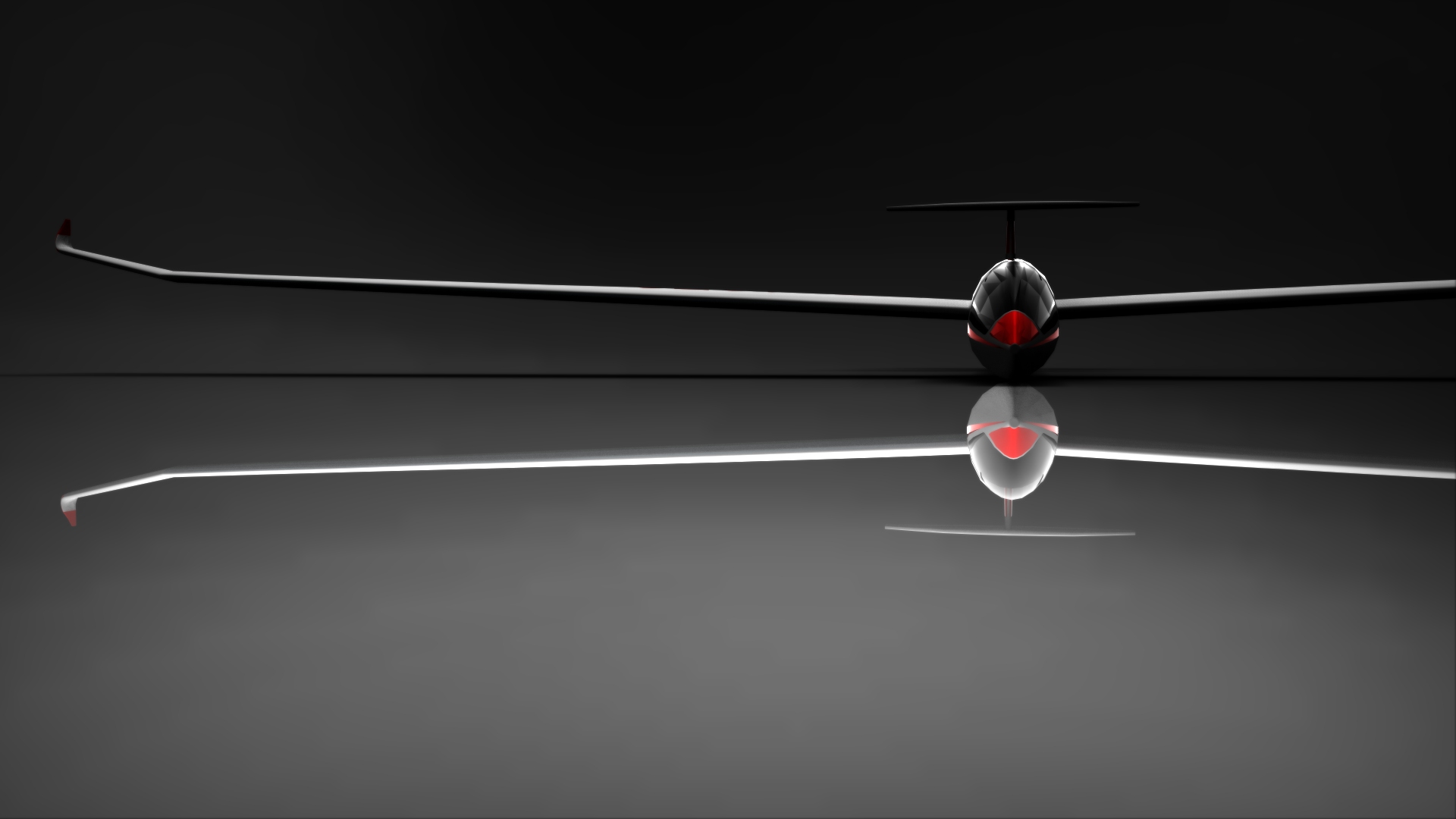 DG-1000滑翔机