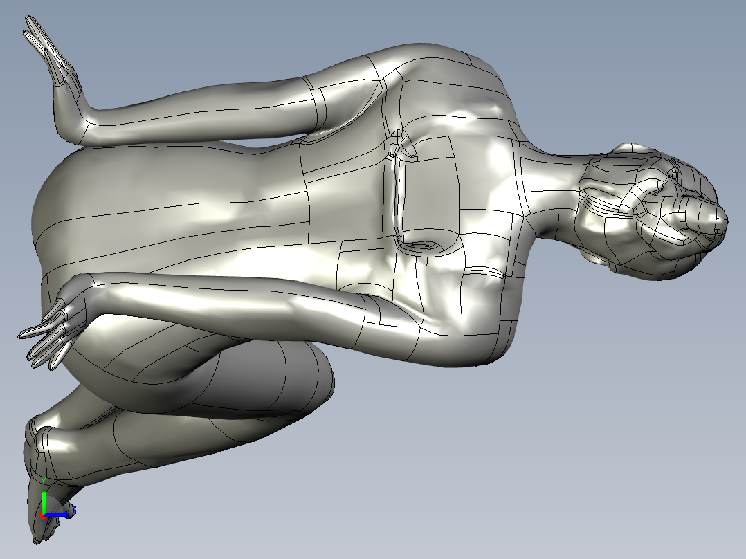 人体模型(114)左视图