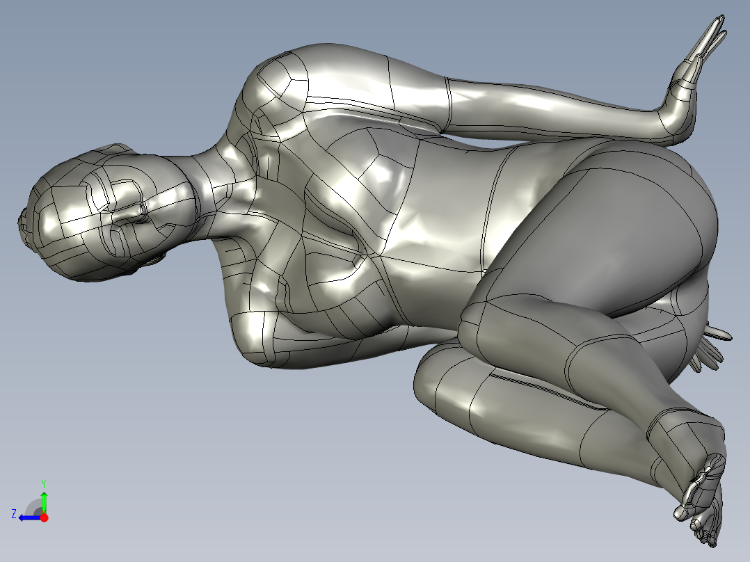 人体模型(114)右视图
